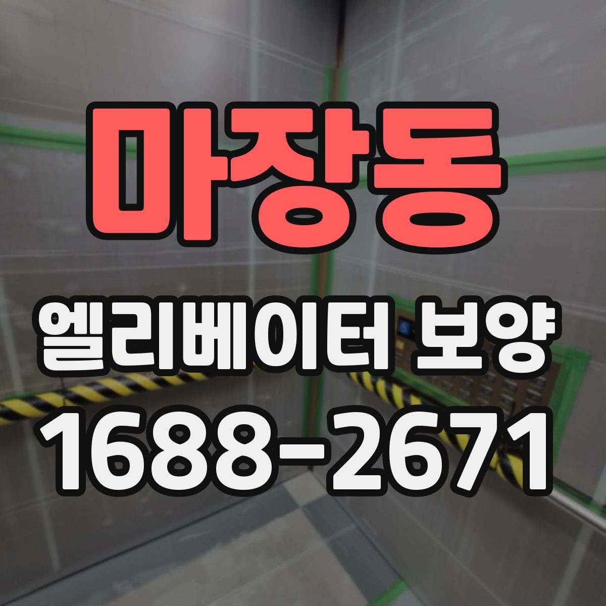 마장동 엘리베이터 보양