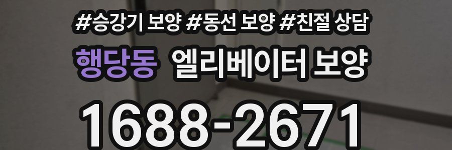 행당동 엘리베이터 보양