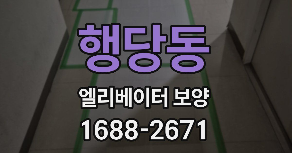 행당동 엘리베이터 보양