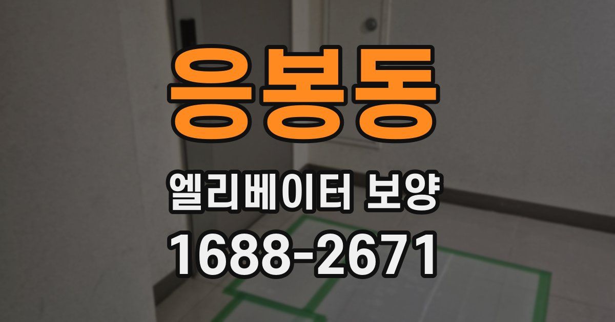 응봉동 엘리베이터 보양