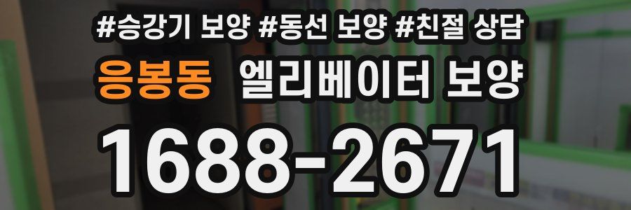 응봉동 엘리베이터 보양