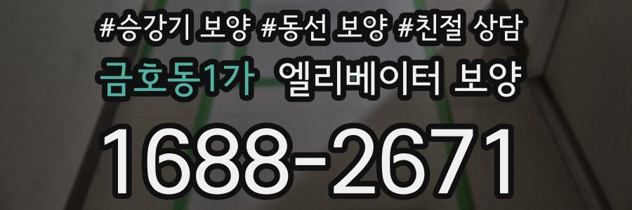금호동1가 엘리베이터 보양