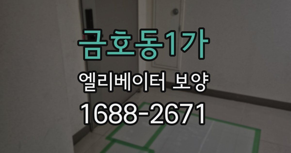금호동1가 엘리베이터 보양