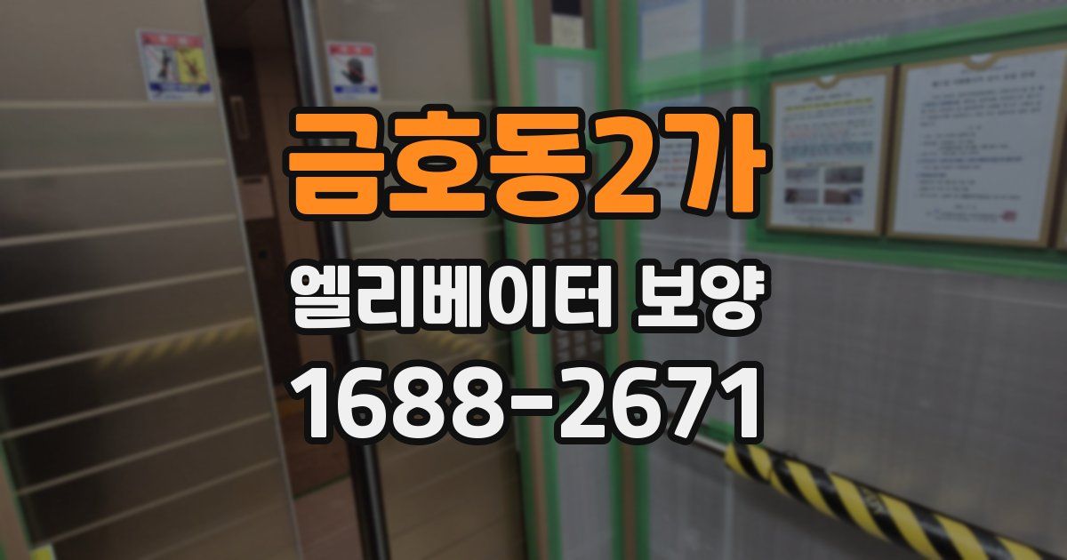 금호동2가 엘리베이터 보양