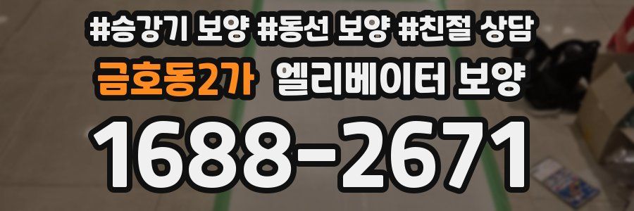 금호동2가 엘리베이터 보양