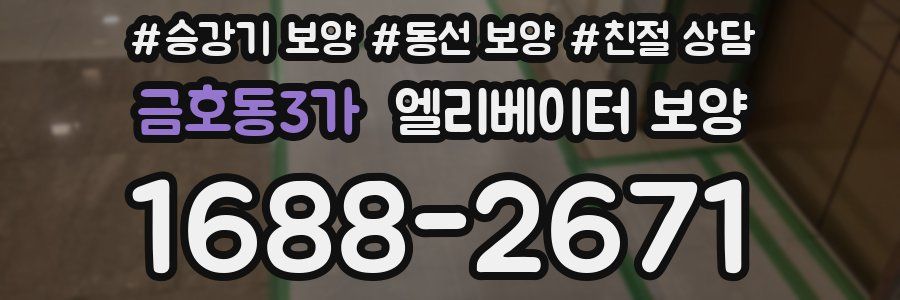 금호동3가 엘리베이터 보양
