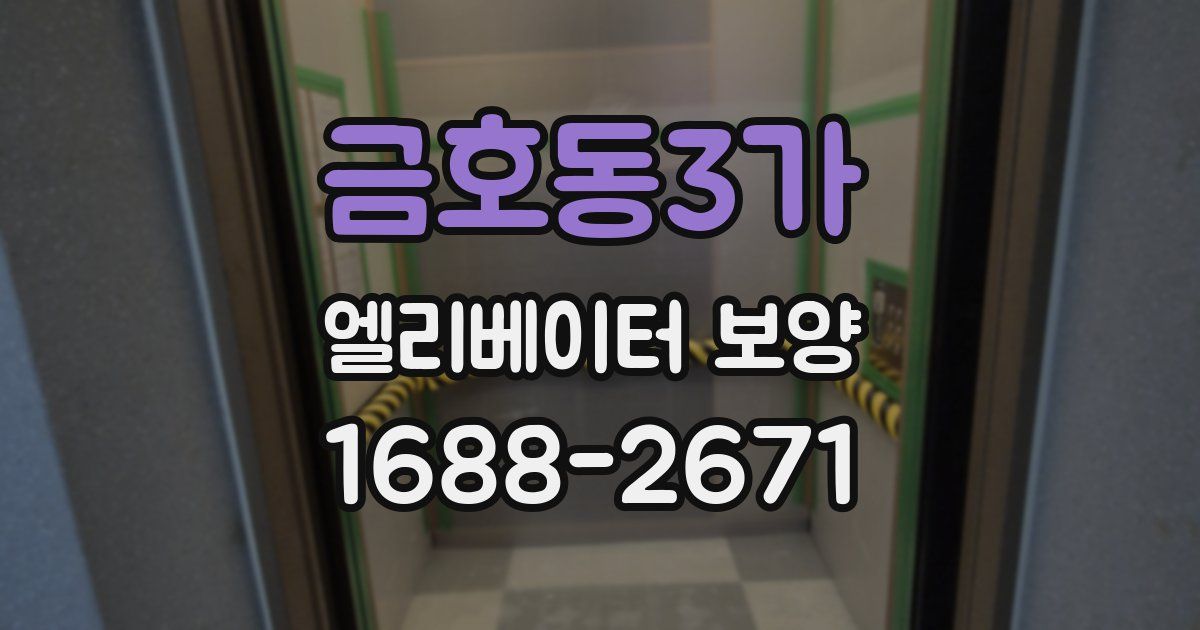 금호동3가 엘리베이터 보양