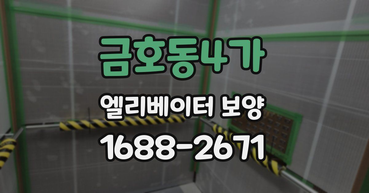 금호동4가 엘리베이터 보양
