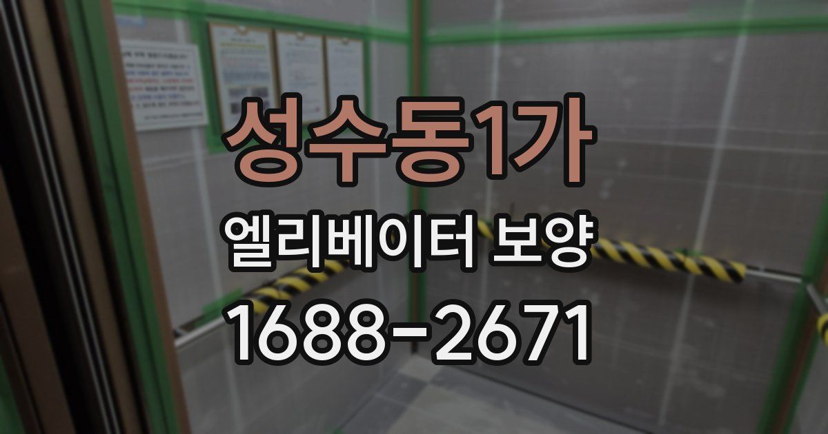 성수동1가 엘리베이터 보양