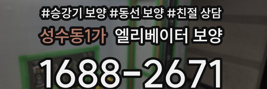 성수동1가 엘리베이터 보양