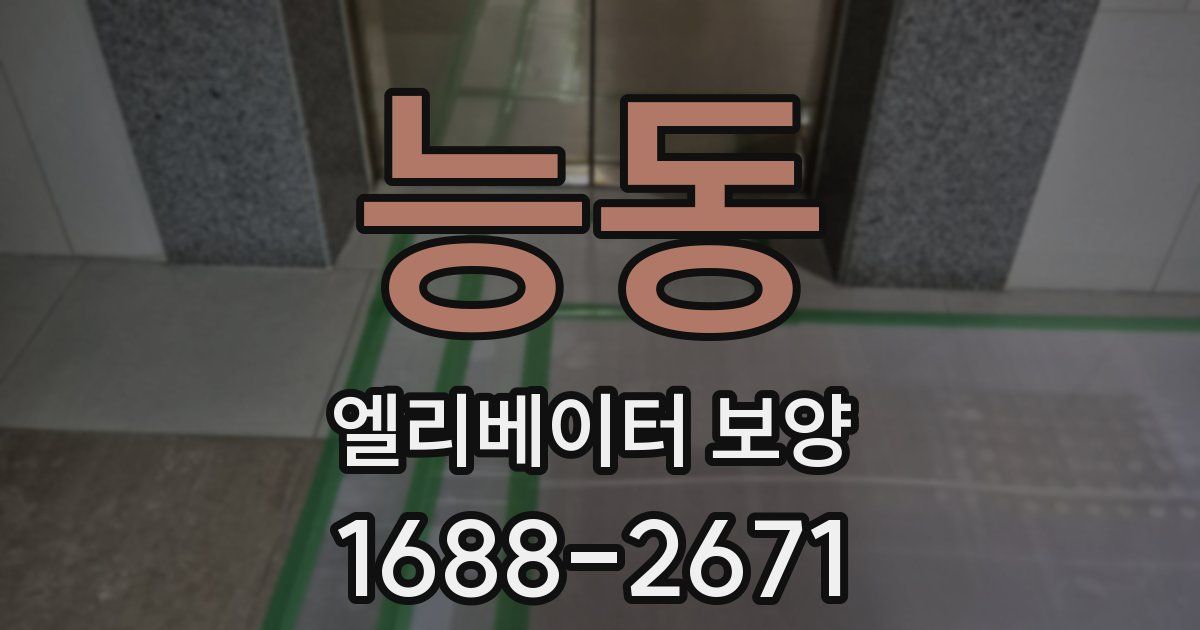 능동 엘리베이터 보양