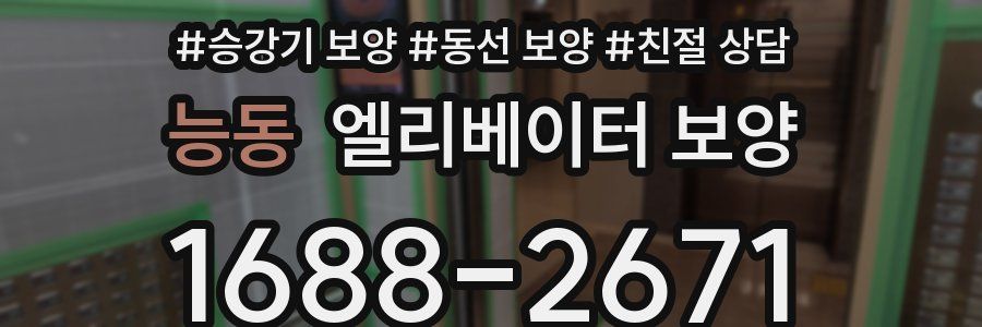 능동 엘리베이터 보양