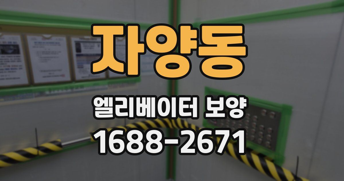 자양동 엘리베이터 보양