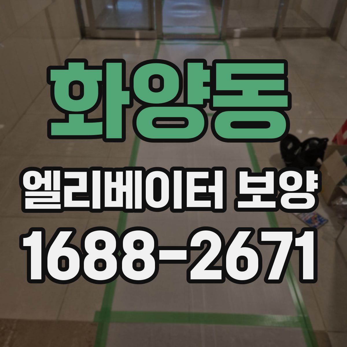 화양동 엘리베이터 보양