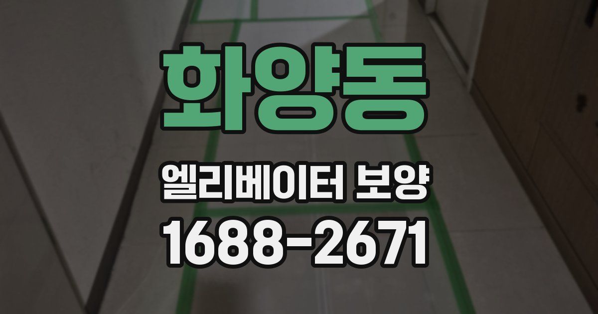 화양동 엘리베이터 보양