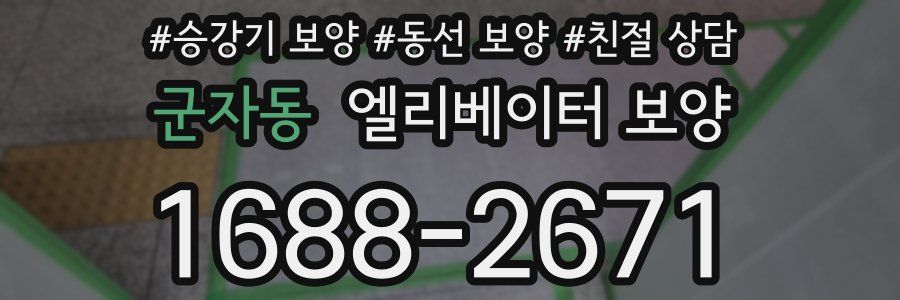 군자동 엘리베이터 보양