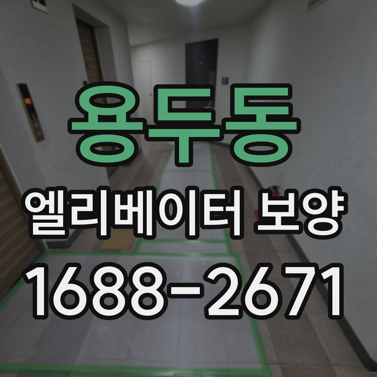 용두동 엘리베이터 보양