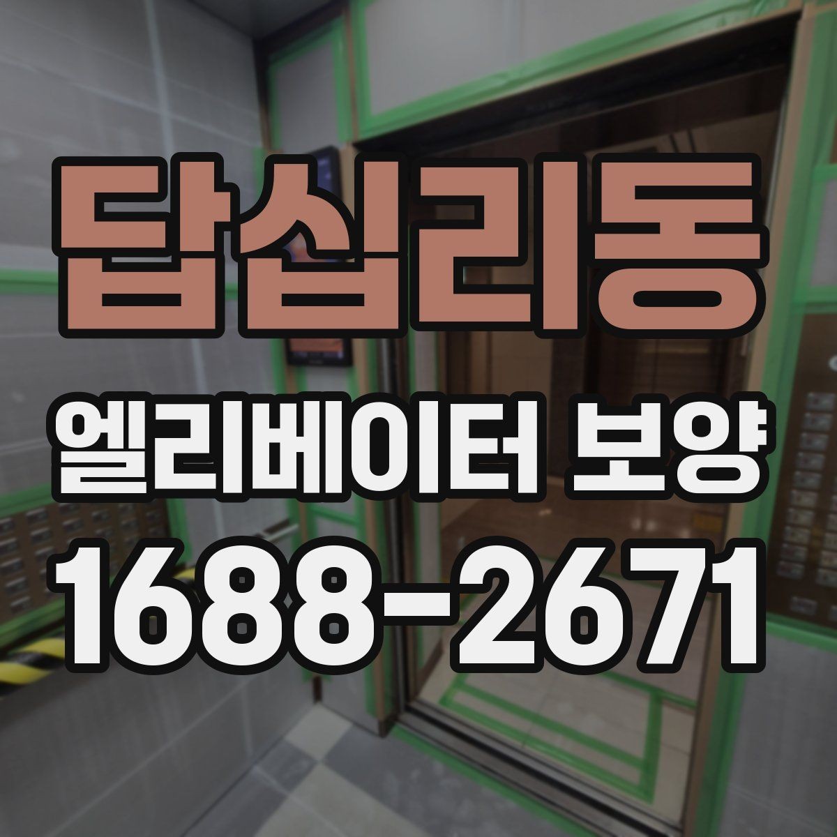 답십리동 엘리베이터 보양 자재 종류를 한눈에 보는 정리