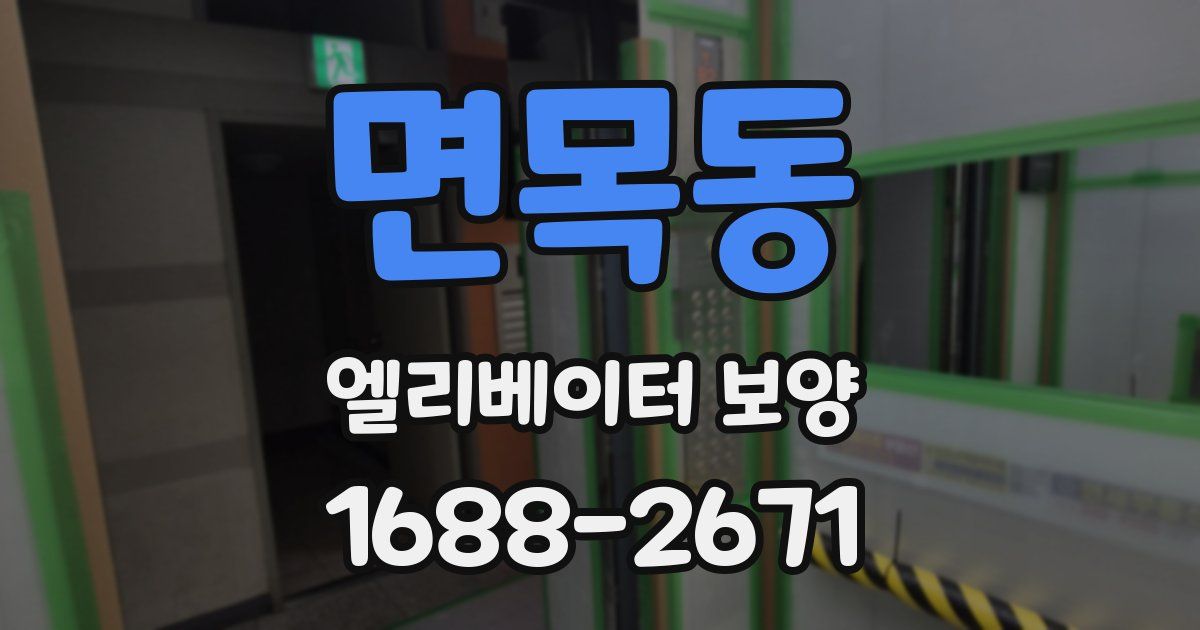 면목동 엘리베이터 보양
