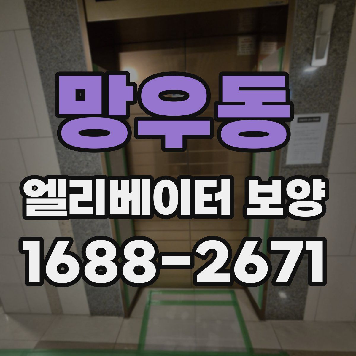 망우동 엘리베이터 보양