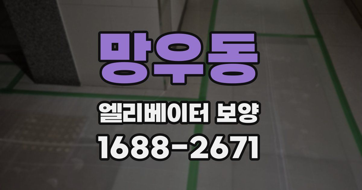 망우동 엘리베이터 보양