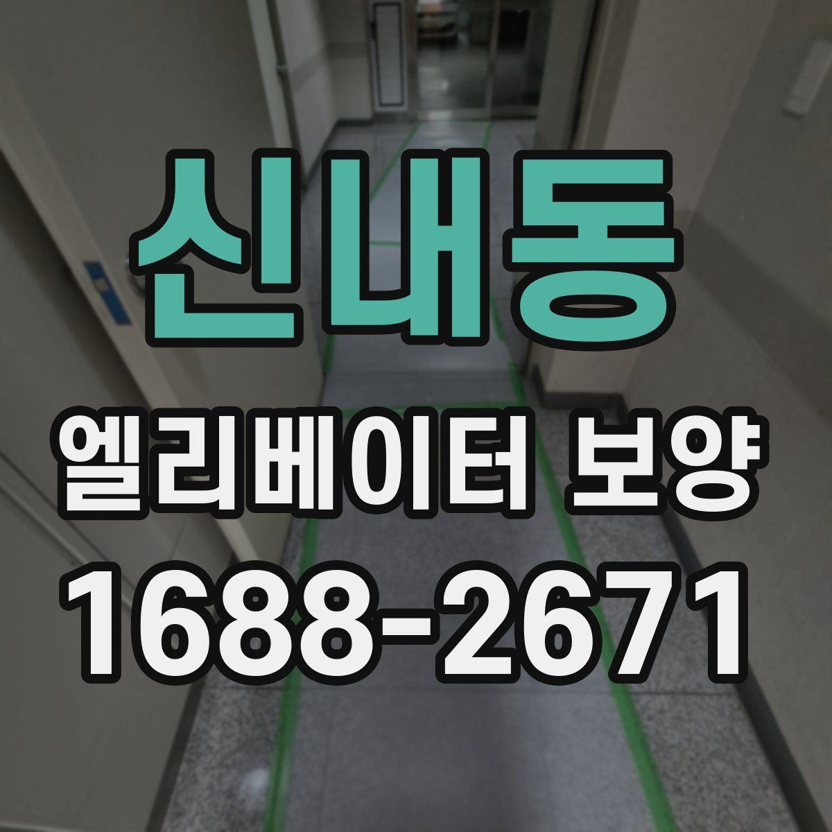 신내동 엘리베이터 보양