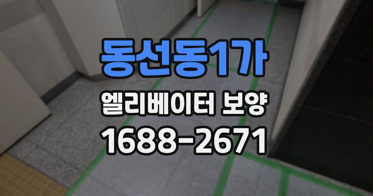 동선동1가 엘리베이터 보양