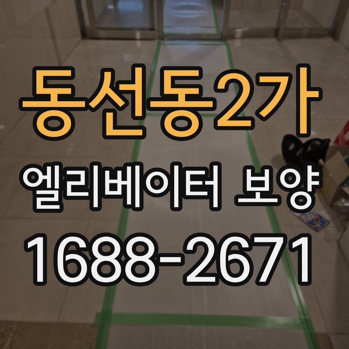동선동2가 엘리베이터 보양 현장 사진으로 보는 진행 방식