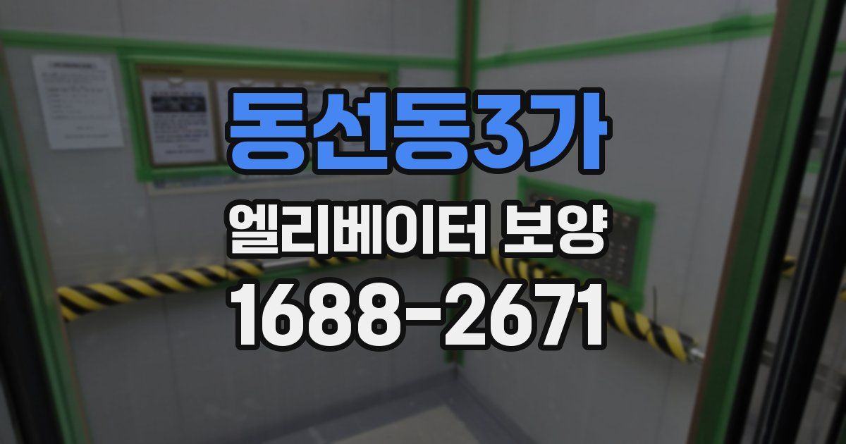 동선동3가 엘리베이터 보양