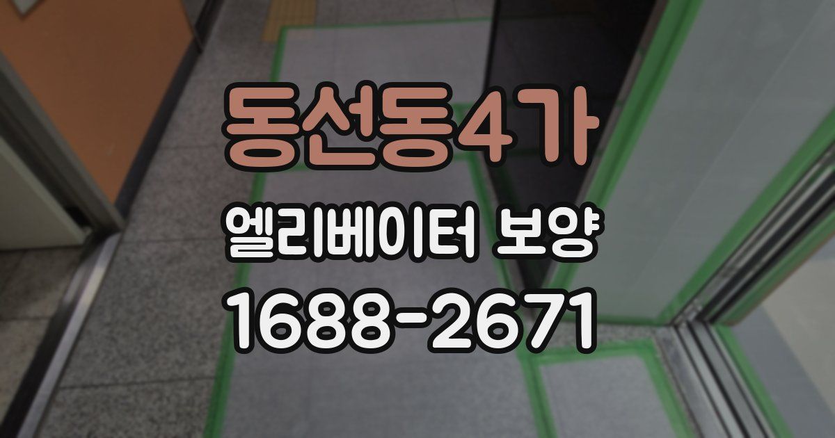 동선동4가 엘리베이터 보양