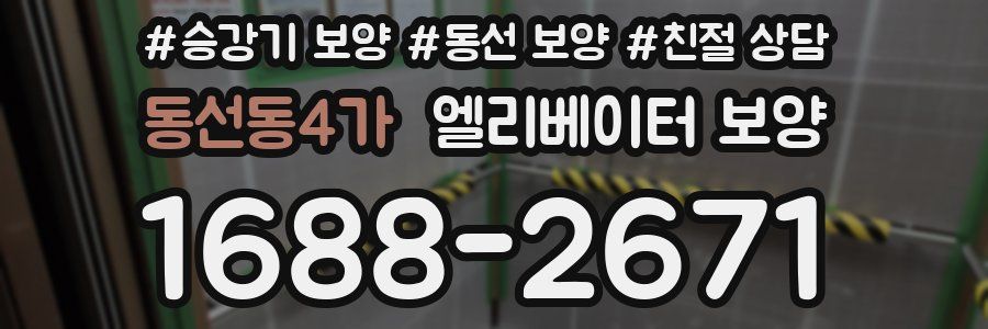 동선동4가 엘리베이터 보양