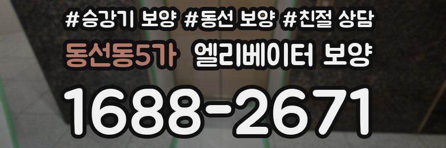 동선동5가 엘리베이터 보양