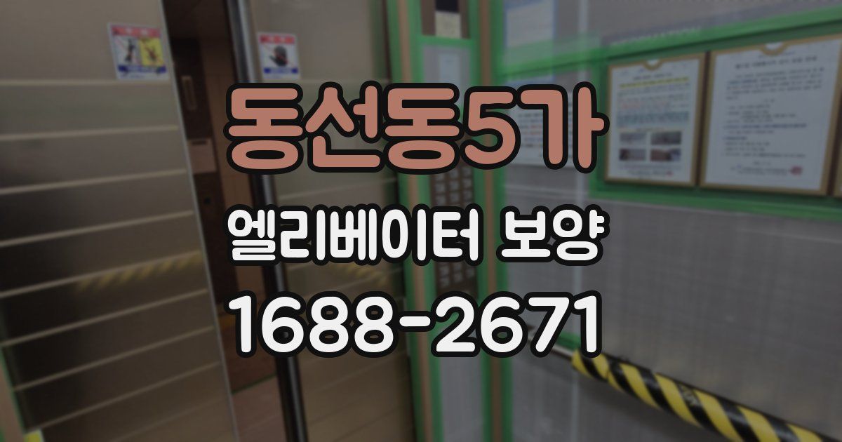 동선동5가 엘리베이터 보양