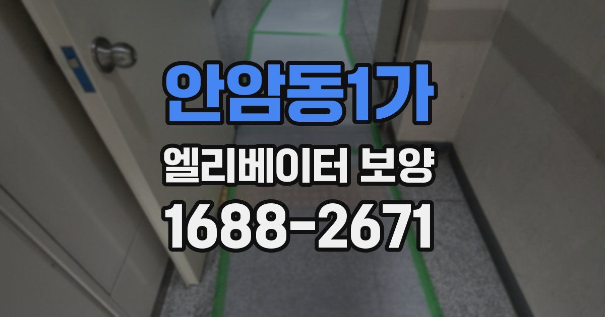 안암동1가 엘리베이터 보양