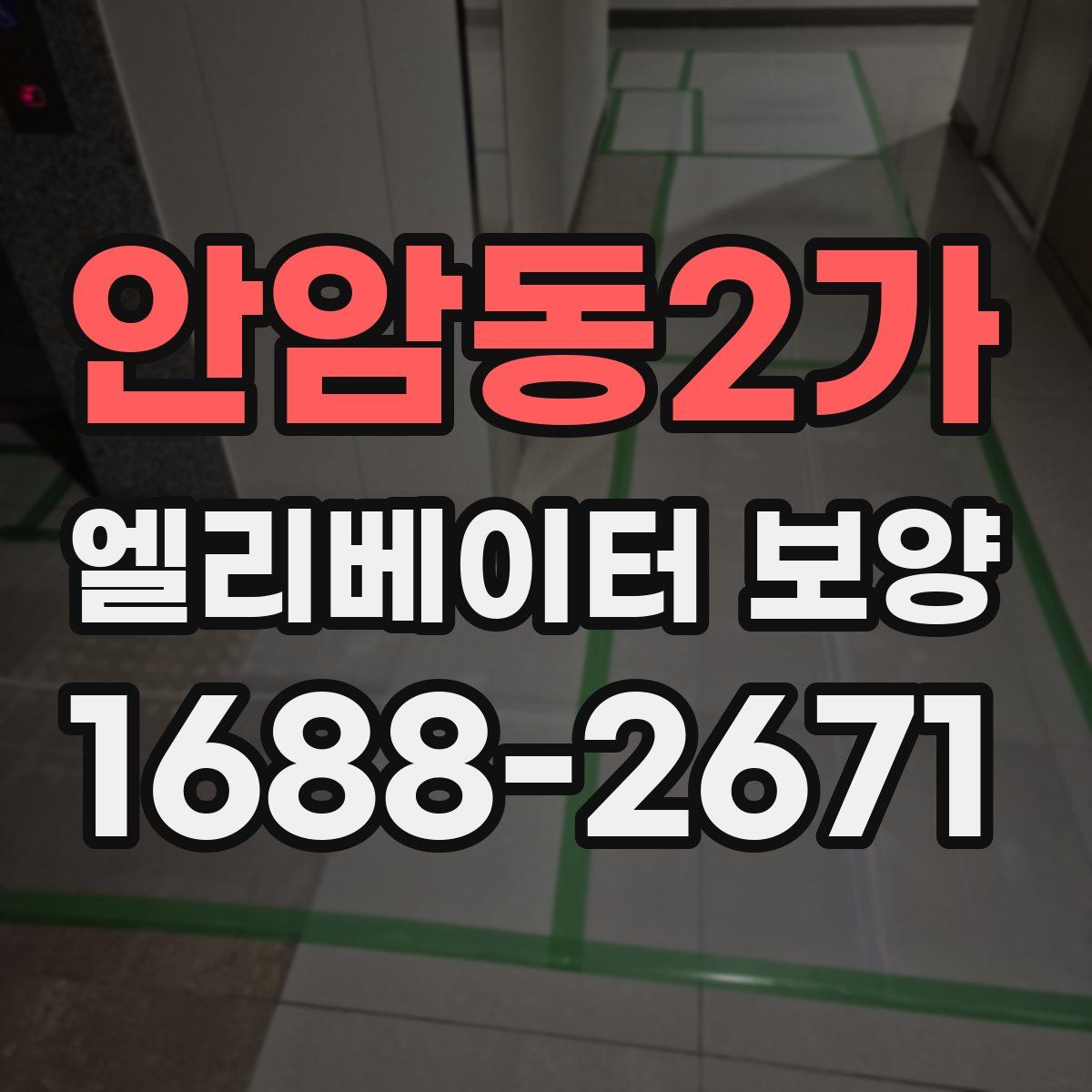 안암동2가 엘리베이터 보양