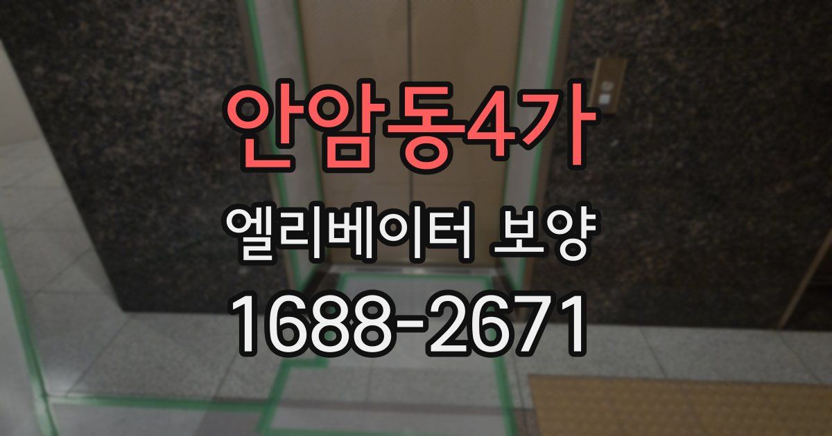 안암동4가 엘리베이터 보양