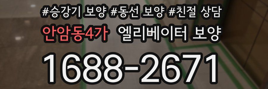 안암동4가 엘리베이터 보양