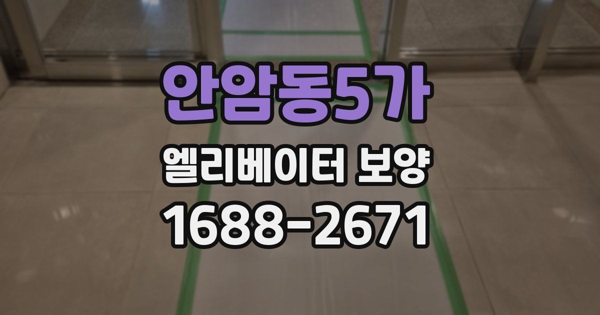 안암동5가 엘리베이터 보양