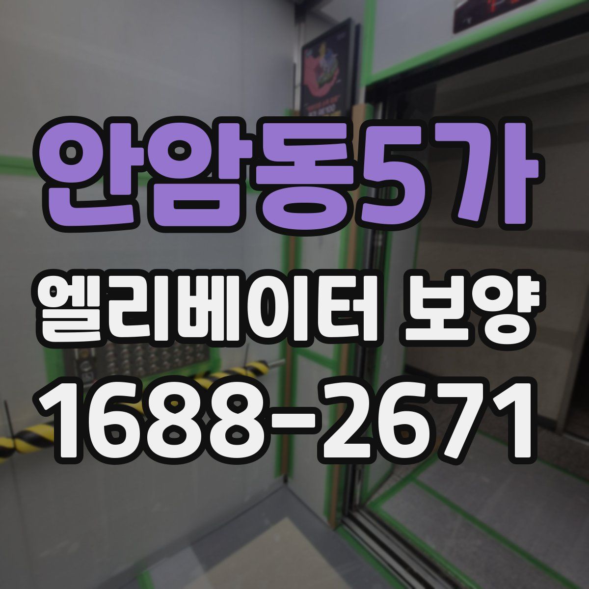 안암동5가 엘리베이터 보양