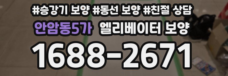 안암동5가 엘리베이터 보양