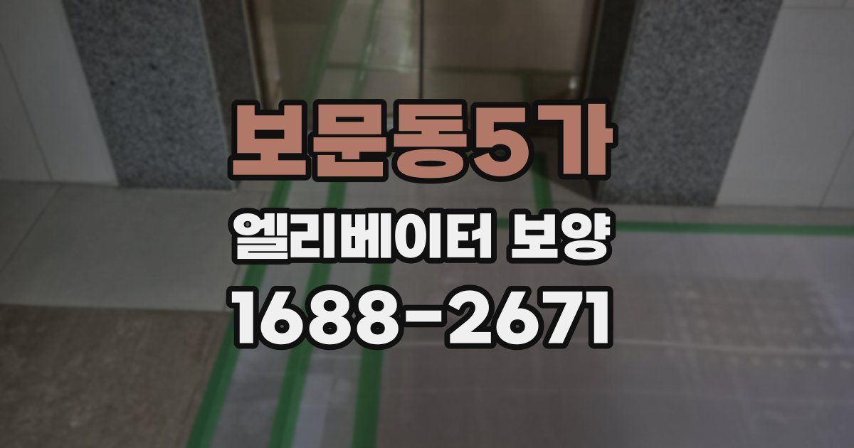 보문동5가 엘리베이터 보양