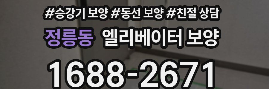 정릉동 엘리베이터 보양