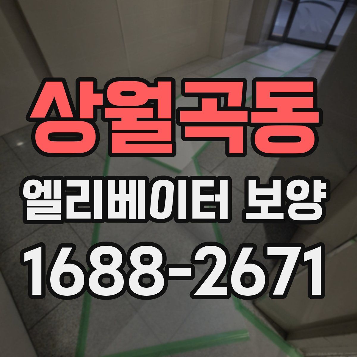 상월곡동 엘리베이터 보양