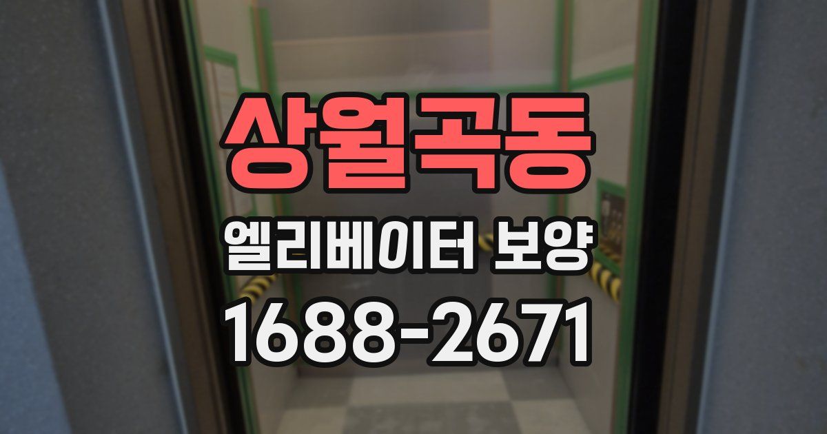 상월곡동 엘리베이터 보양