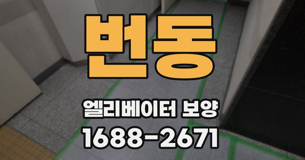 번동 엘리베이터 보양