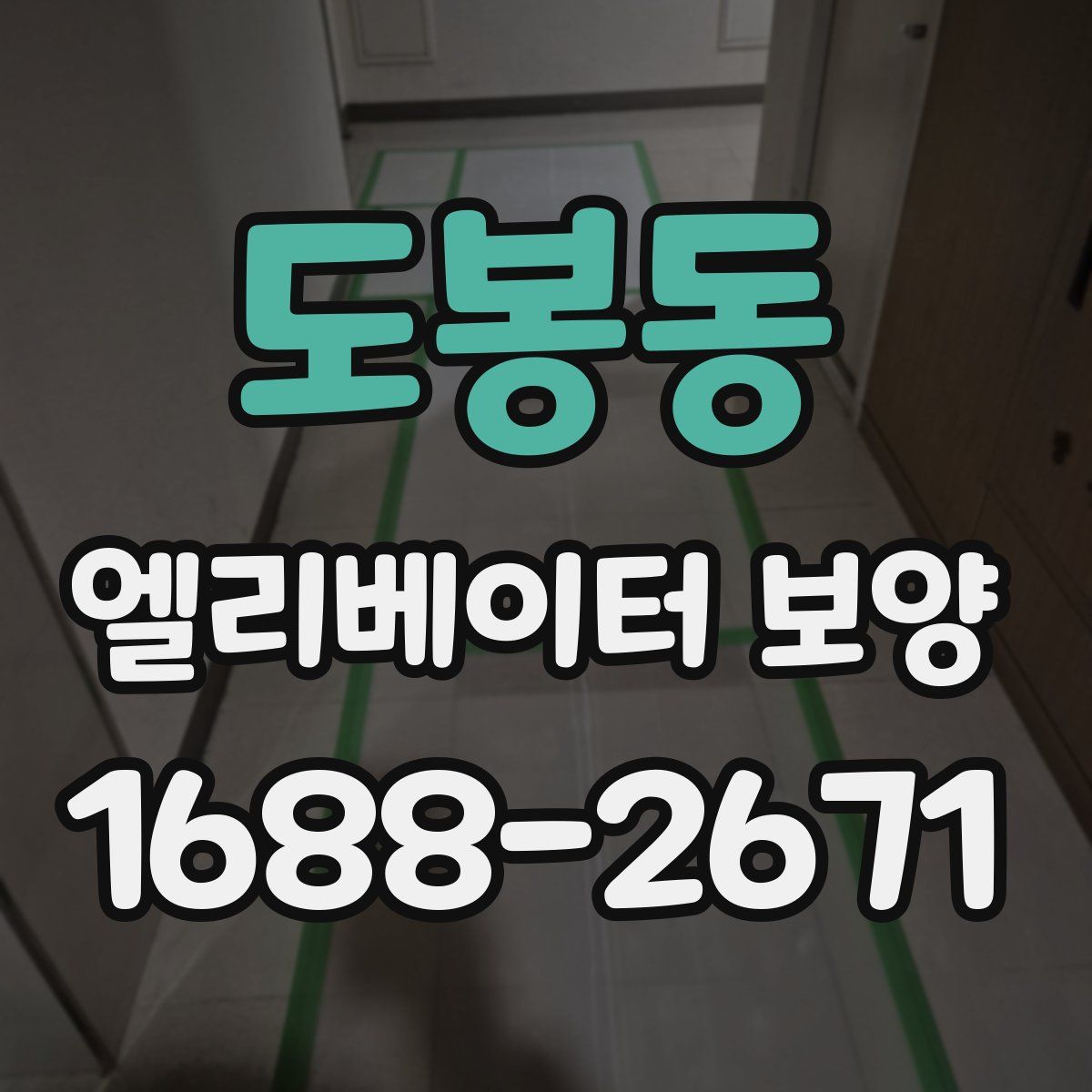 도봉동 엘리베이터 보양