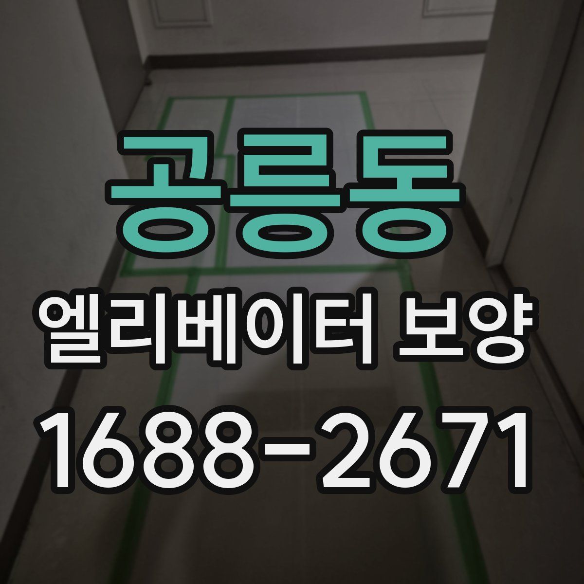공릉동 엘리베이터 보양