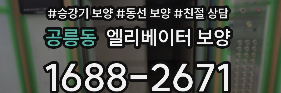공릉동 엘리베이터 보양