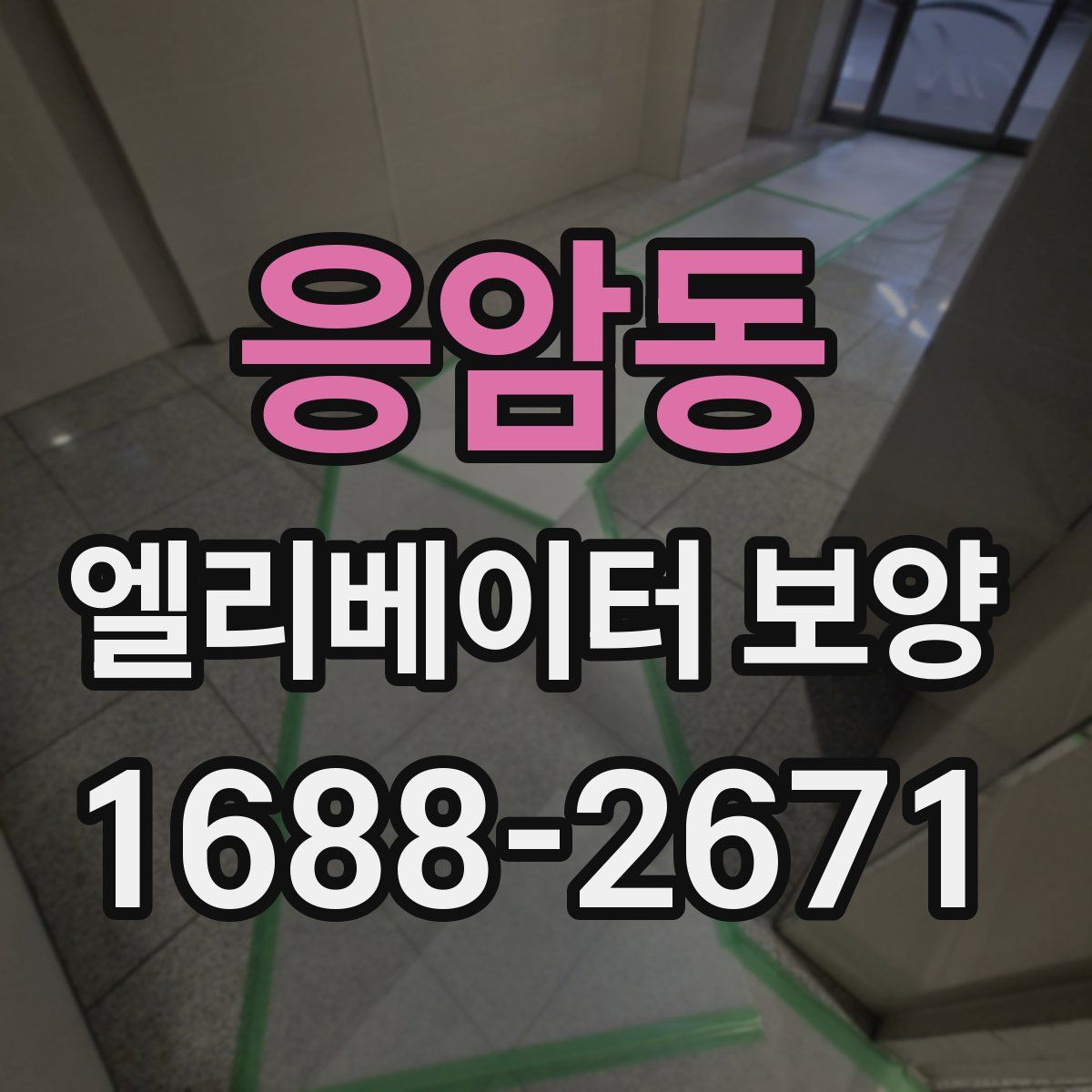 응암동 엘리베이터 보양