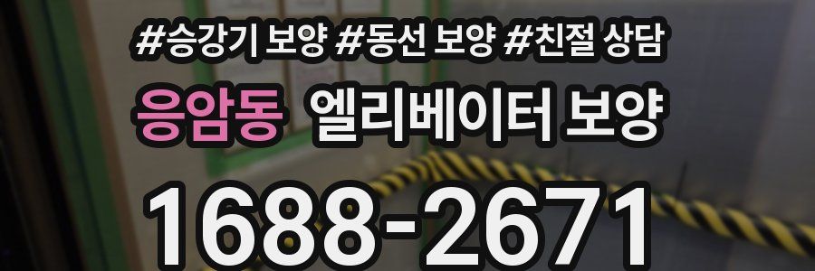 응암동 엘리베이터 보양